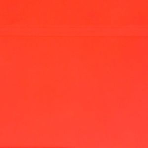 Meet your Posher, Cora